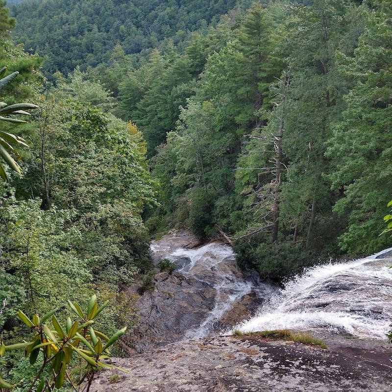 a waterfall surrounded by trees